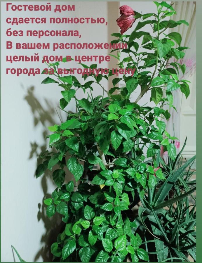 Apartament Sultan Samarkanda Zewnętrze zdjęcie